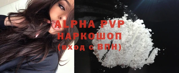 прущие грибы Магадан