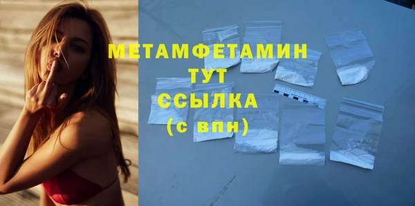 прущие грибы Магадан