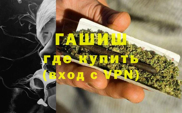 прущие грибы Магадан