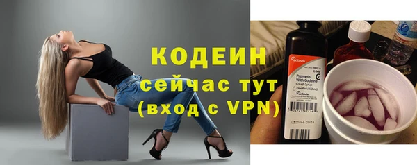 прущие грибы Магадан