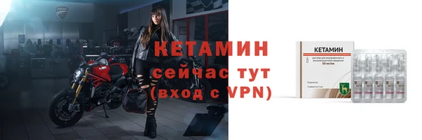 прущие грибы Магадан