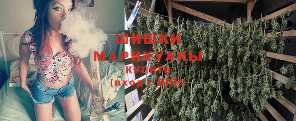 прущие грибы Магадан