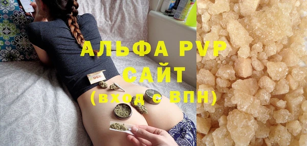 прущие грибы Магадан