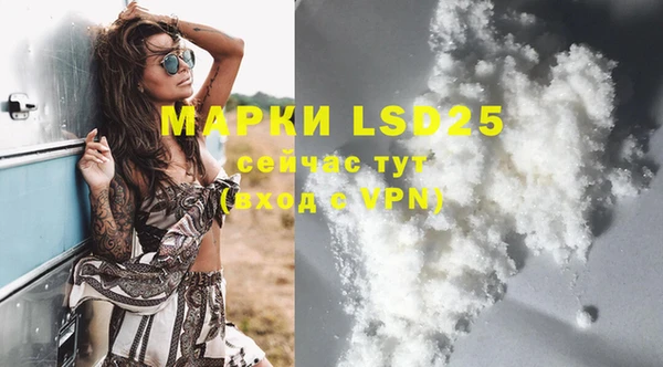 прущие грибы Магадан