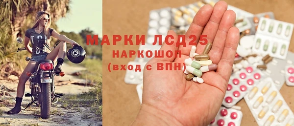 прущие грибы Магадан
