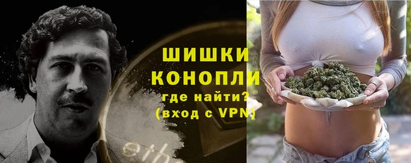 прущие грибы Магадан