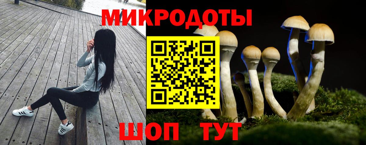 где можно купить   Псилоцибиновые грибы Psilocybe  Вход с VPN  Нальчик 