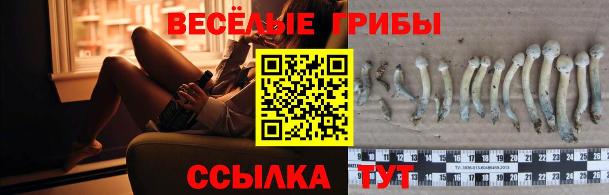 Псилоцибиновые грибы Magic Shrooms Нальчик